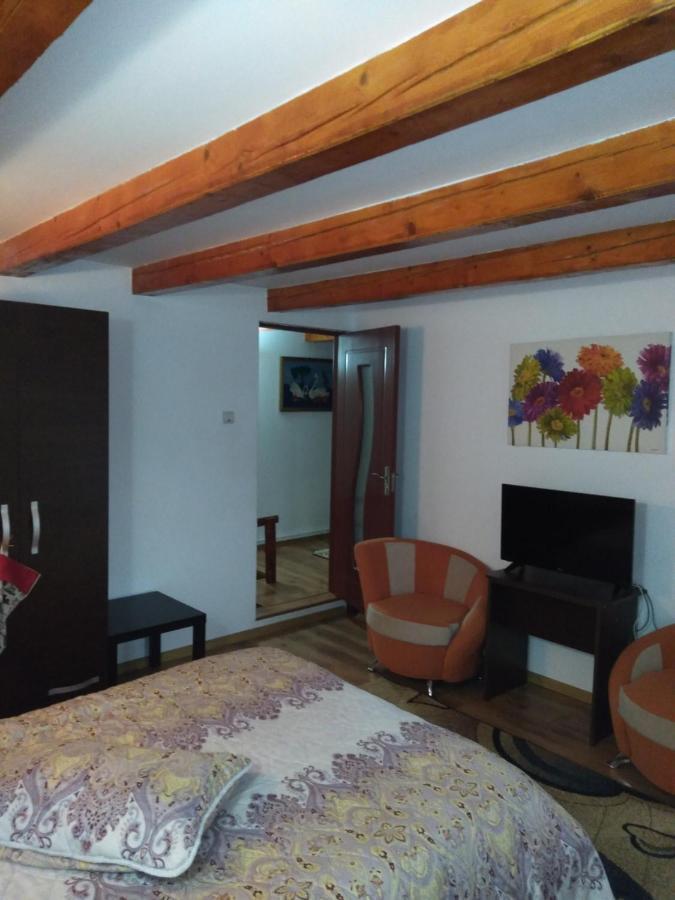 Cabana Ollie Retezat Riu Barbat Exterior photo