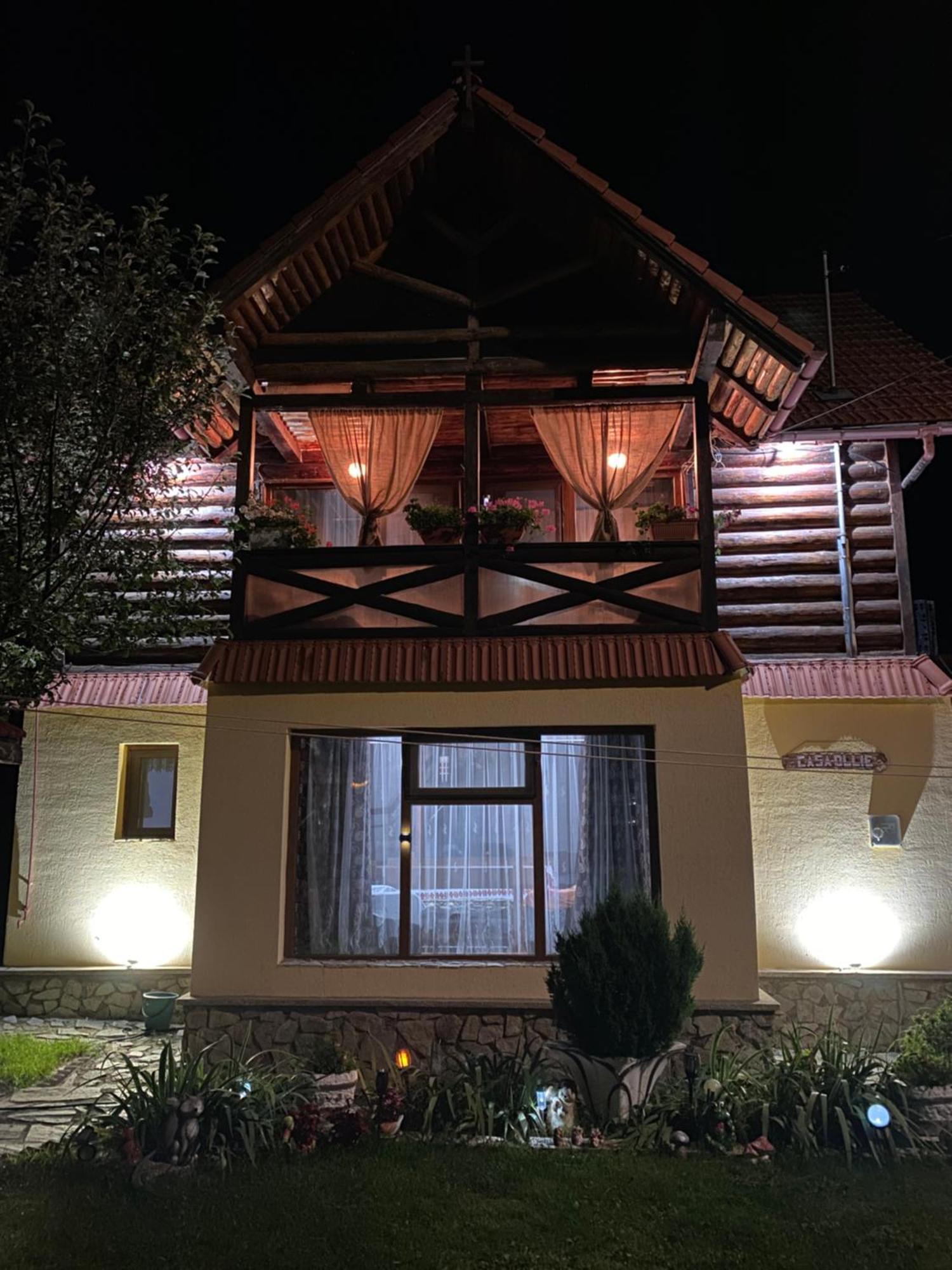 Cabana Ollie Retezat Riu Barbat Exterior photo