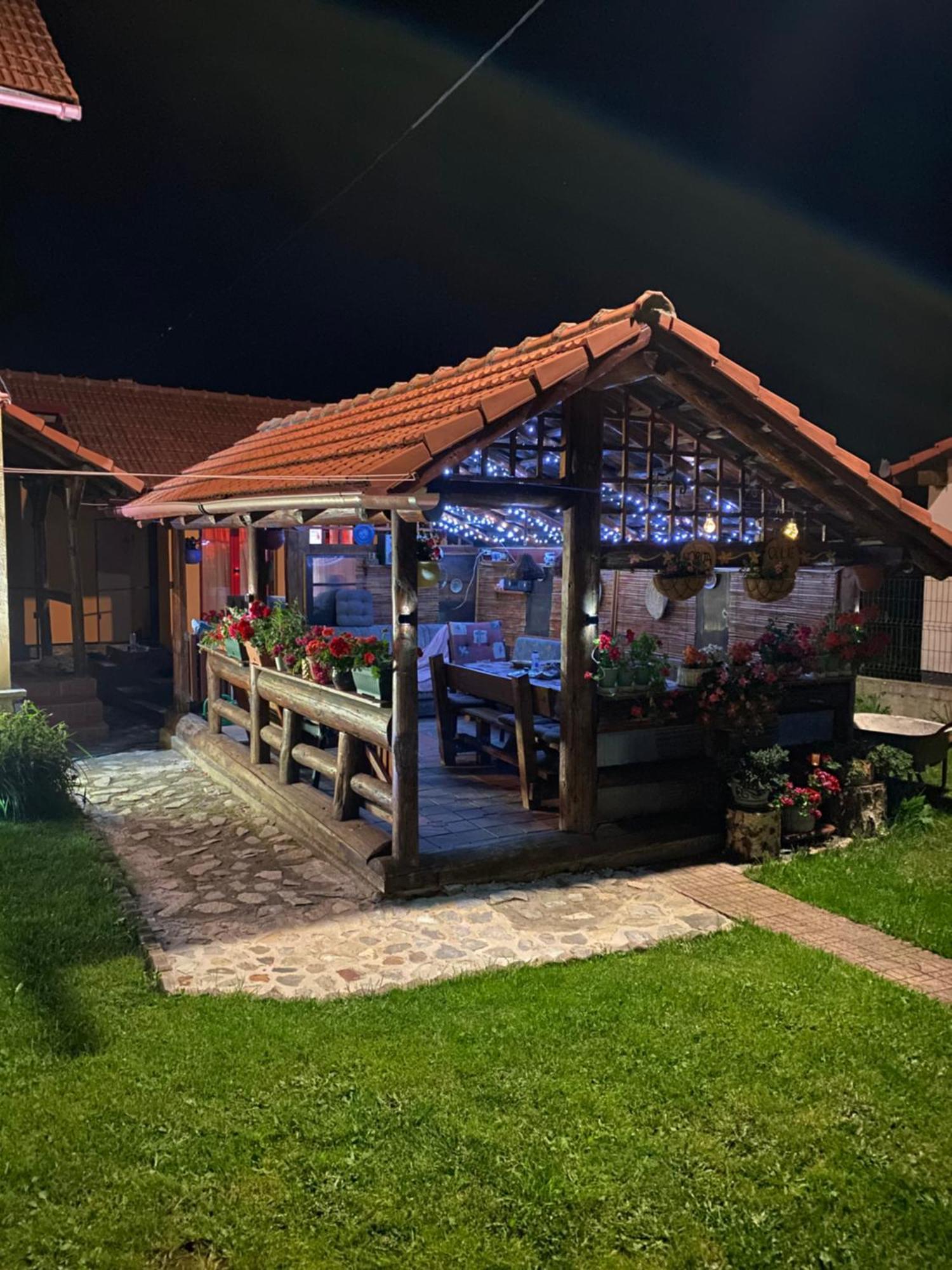 Cabana Ollie Retezat Riu Barbat Exterior photo