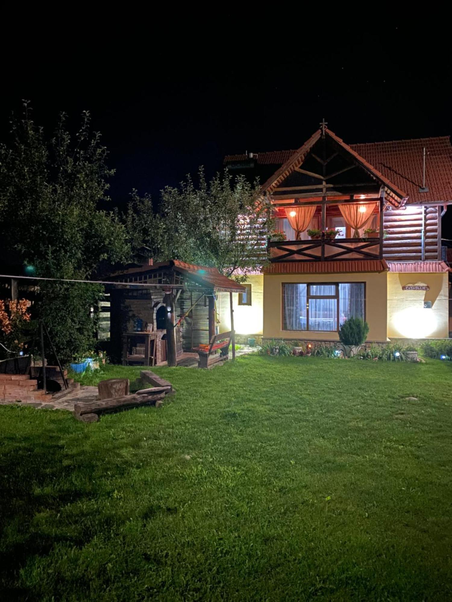 Cabana Ollie Retezat Riu Barbat Exterior photo