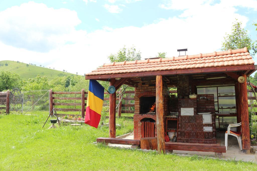 Cabana Ollie Retezat Riu Barbat Exterior photo